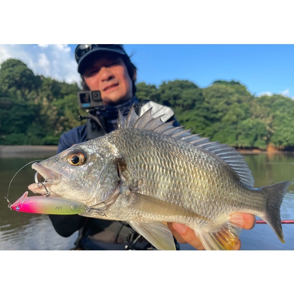 イネムン　６０